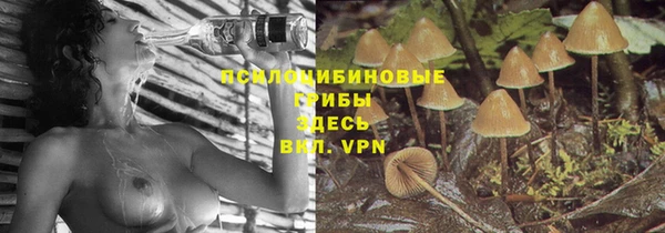 стаф Медвежьегорск