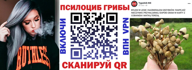 Галлюциногенные грибы MAGIC MUSHROOMS  наркошоп  Лахденпохья 