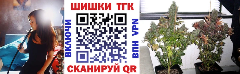 Шишки марихуана план  mega   Лахденпохья 
